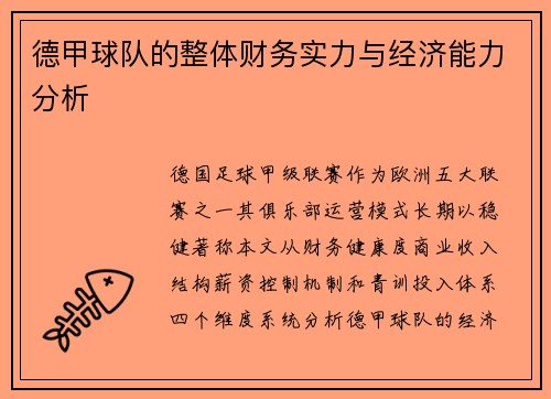 德甲球队的整体财务实力与经济能力分析